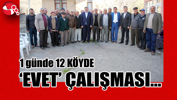 1 günde 12 KÖYDE 'EVET' ÇALIŞMASI