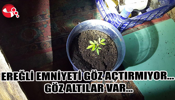 EREĞLİ EMNİYETİ GÖZ AÇTIRMIYOR... GÖZ ALTILAR VAR...