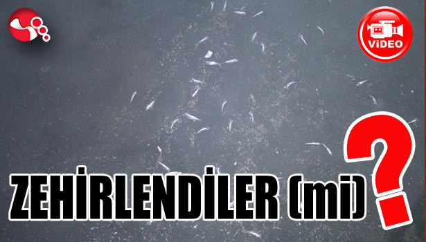 Zehirlendiler (mi) ?