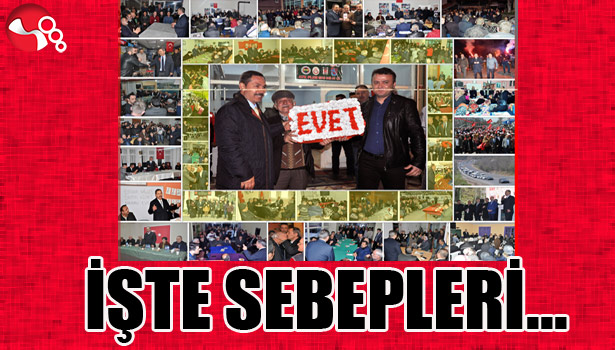 İŞTE SEBEPLERİ...