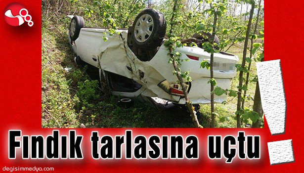 FINDIK TARLASINA UÇTU!..