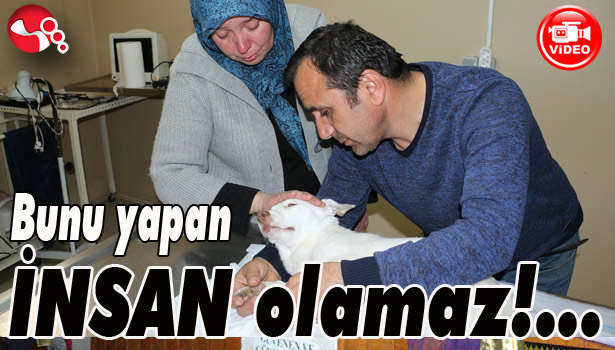 Bunu yapan İNSAN olamaz!...