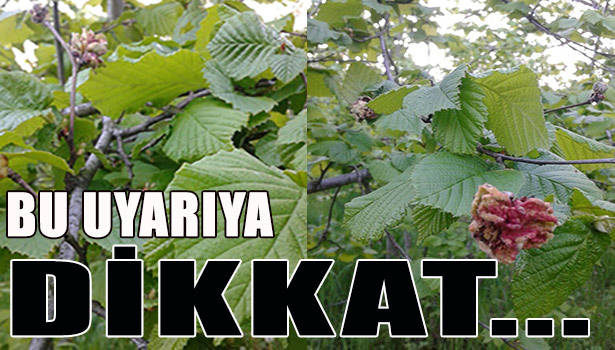 BU UYARIYA DİKKAT...