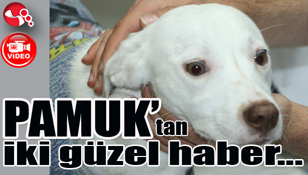 PAMUK'TAN İKİ GÜZEL HABER...