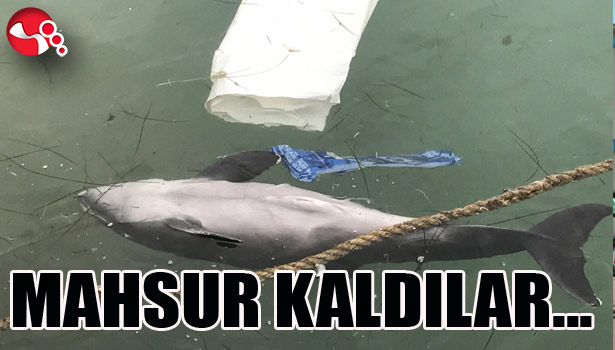 YUNUSLAR MAHSUR KALDI...
