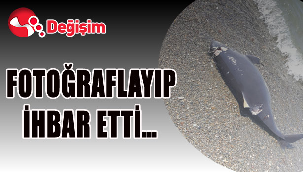 FOTOĞRAFLAYIP İHBAR ETTİ...