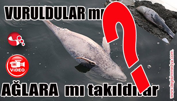 VURULDULAR MI? AĞLARA MI TAKILDILAR?