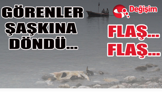 GÖRENLER ŞAŞKINA DÖNDÜ...