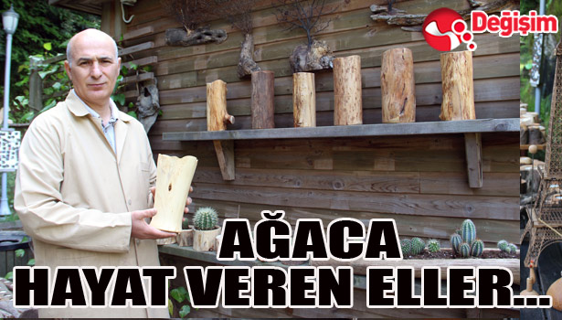 AĞACA HAYAT VEREN ELLER...