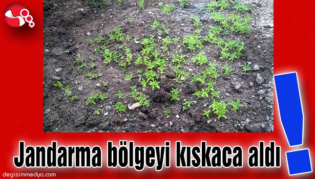 JANDARMA BÖLGEYİ KISKACA ALDI!..