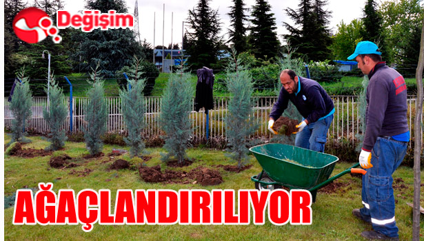 EREĞLİ AĞAÇLANDIRILIYOR...