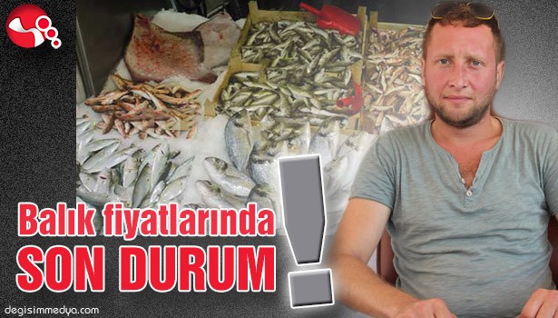 BALIK FİYATLARINDA SON DURUM!..