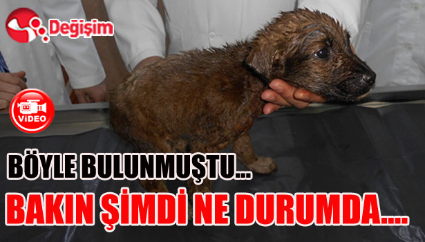 BÖYLE BULUNMUŞTU... BAKIN ŞİMDİ NE DURUMDA....