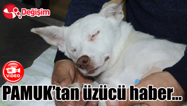 PAMUK'tan üzücü haber geldi...