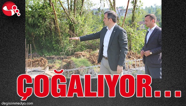 ÇOĞALIYOR...