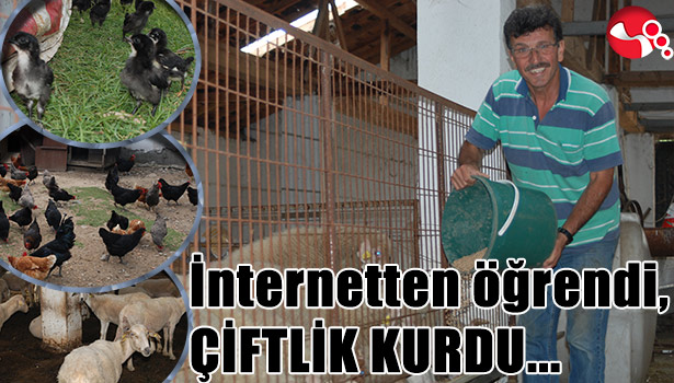 İNTERNETTEN ÖĞRENDİ, ÇİFTLİK KURDU