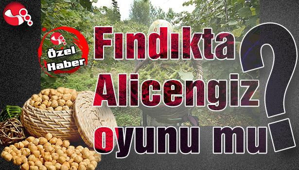 FINDIKTA ALİCENGİZ OYUNU MU?