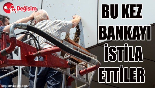 BU KEZ BANKAYI İSTİLA ETTİLER