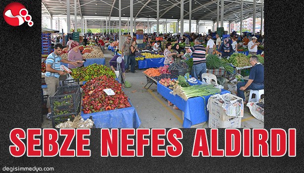 SEBZE NEFES ALDIRDI