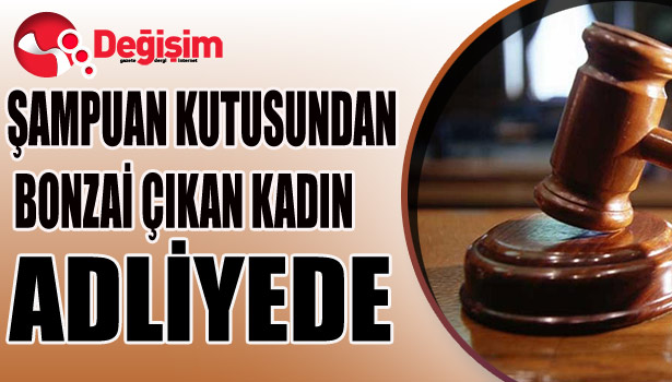 ŞAMPUAN KUTUSUNDAN BONZAİ ÇIKAN KADIN ADŞİYEDE...