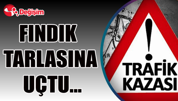 FINDIK TARLASINA UÇTU...