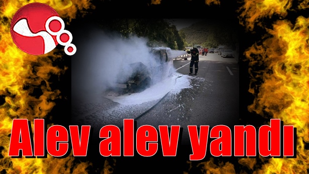Alev alev yandı