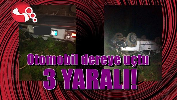 Otomobil dereye uçtu: 3 yaralı