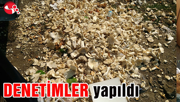 DENETİMLER yapıldı