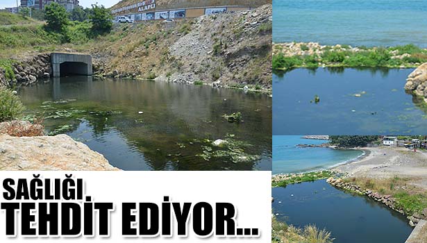 İncivez Koyu halk sağlığını tehdit ediyor