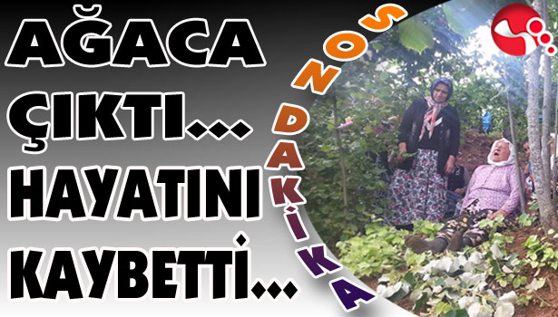 Ağaca Çıktı... HAYATINI KAYBETTİ...