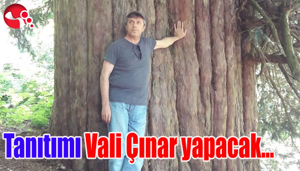 Tanıtımı Vali Çınar yapacak...