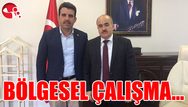 BÖLGESEL ÇALIŞMA Önerisi...