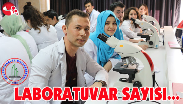 LABORATUVAR SAYISI...