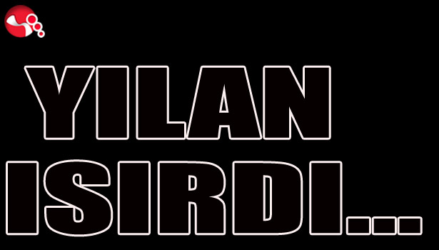 YILAN ISIRDI...