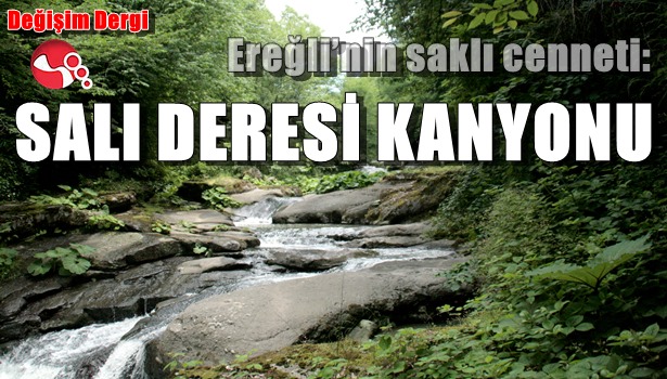 Ereğli'nin saklı cenneti: Salı Deresi Kanyonu