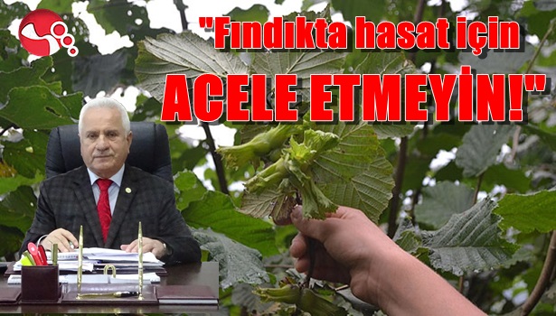 "Fındıkta hasat için acele etmeyin!"