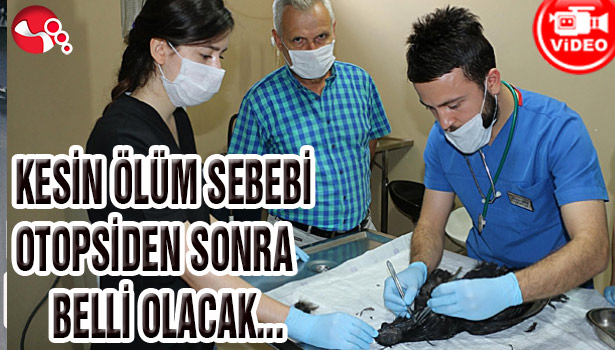 KESİN ÖLÜM SEBEBİ OTOPSİDEN SONRA BELLİ OLACAK