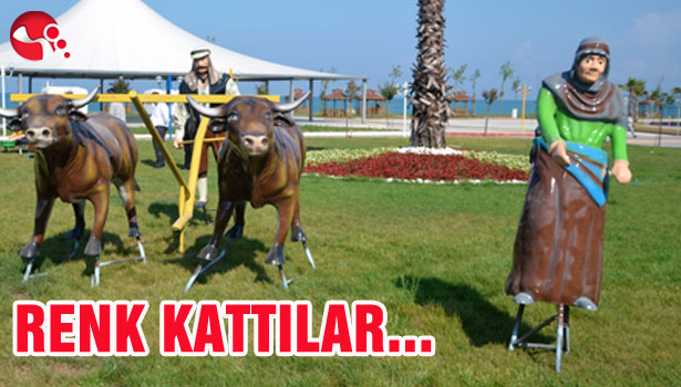 SAHİLE RENK KATTILAR...