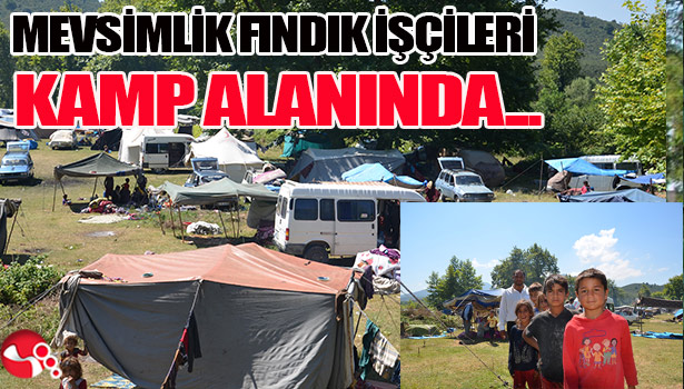 MEVSİMLİK FINDIK İŞÇİLERİ KAMP ALANINDA...