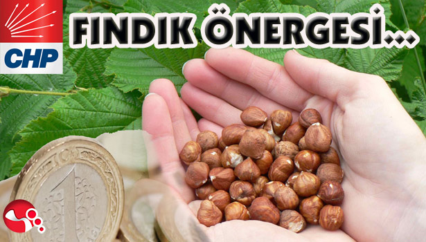 CHP'den "FINDIK" ÖNERGESİ...