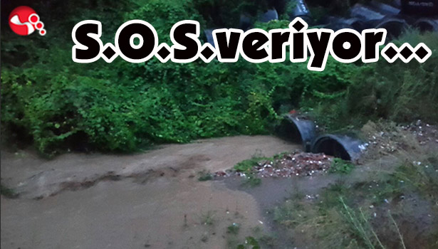 S.O.S. veriyor...
