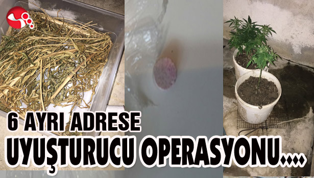6 AYRI ADRESE UYUŞTURUCU OPERASYONU....