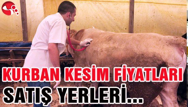 KURBAN KESİM FİYATLARI ve SATIŞ YERLERİ BELİRLENDİ