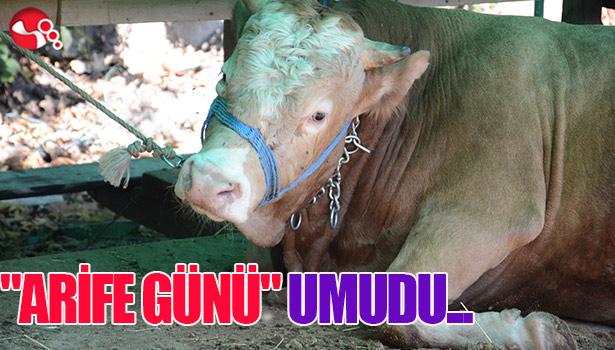 "ARİFE GÜNÜ" UMUDU...