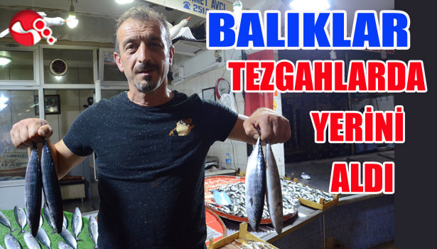 BALIKLAR TEZGAHLARDA YERİNİ ALDI...