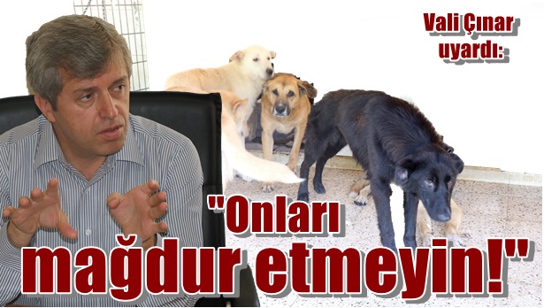 Vali Çınar uyardı!