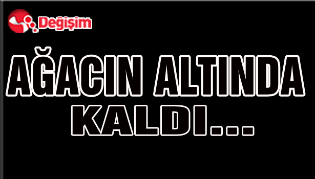 AĞACIN ALTINDA KALDI...