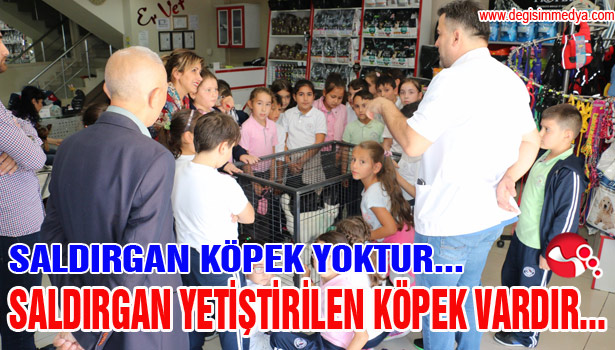 SALDIRGAN KÖPEK YOKTUR... SALDIRGAN YETİŞTİRİLEN KÖPEK VARDIR...
