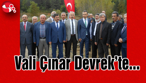 Devrek'te fidan diktiler