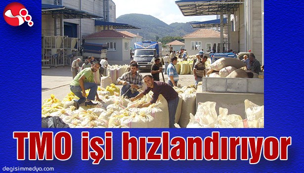 TMO işi hızlandırıyor